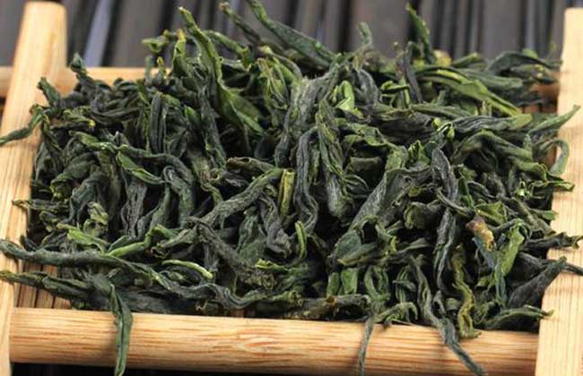 六安瓜片茶 世界之最的独特魅力