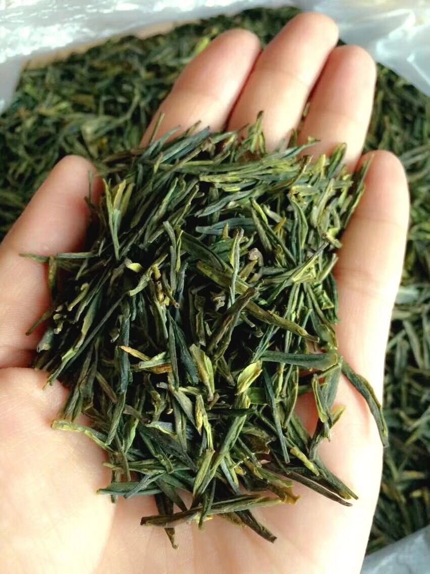 市面上的茶叶哪些是正宗的崂山茶？你真的了解吗