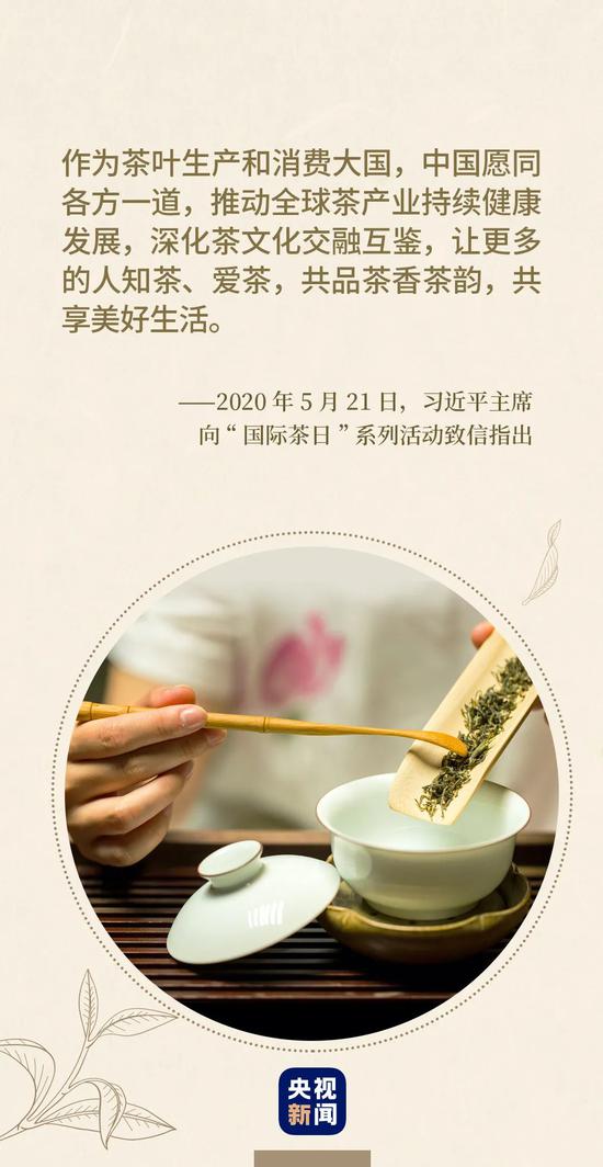 茶之节 且品茗